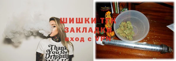шишки Майский