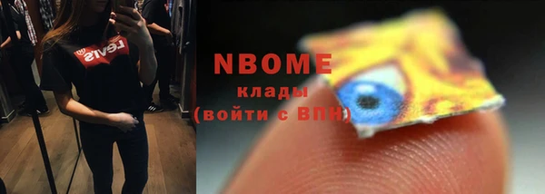 шишки Майский