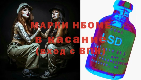 шишки Майский