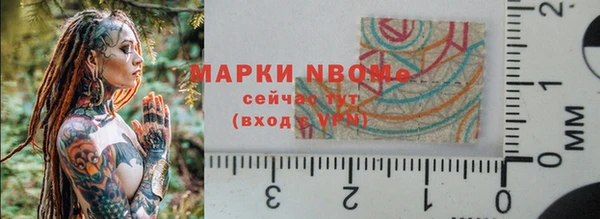 шишки Майский