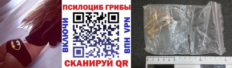 Купить закладки  Сибай  Псилоцибиновые грибы Psilocybine cubensis 